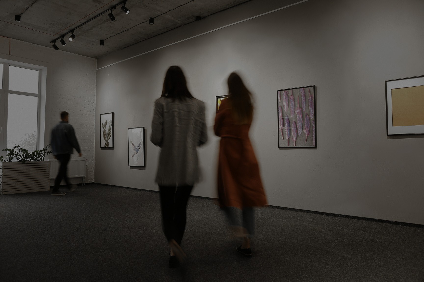 Exhibitions & Cultural Programmes